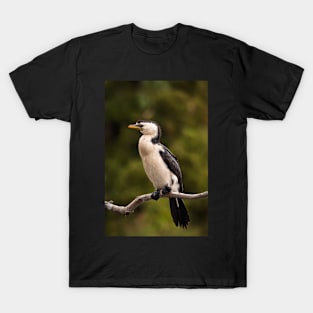 Little Pied Cormorant T-Shirt